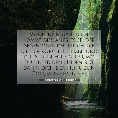 Picture 07 - Deuteronomium 30:1 LUTH1912 - Wenn nun über dich kommt dies alles, es sei der - Bible Verse Picture