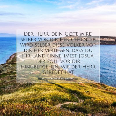 Picture 07 - Deuteronomium 31:3 LUTH1912 - Der HERR, dein Gott, wird selber vor dir her - Bible Verse Picture