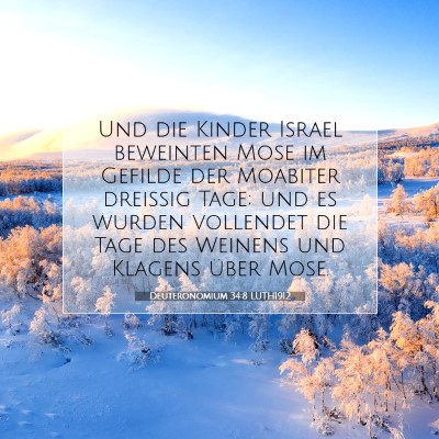 Picture 07 - Deuteronomium 34:8 LUTH1912 - Und die Kinder Israel beweinten Mose im Gefilde - Bible Verse Picture