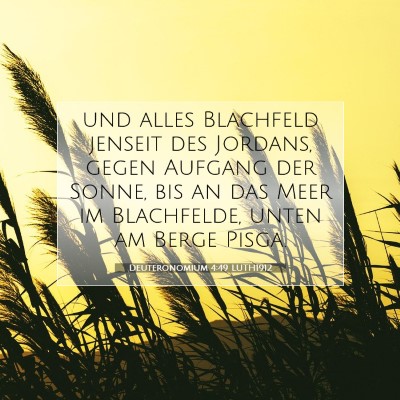 Picture 07 - Deuteronomium 4:49 LUTH1912 - und alles Blachfeld jenseit des Jordans, gegen - Bible Verse Picture