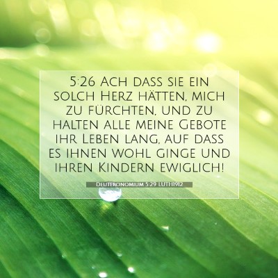 Picture 07 - Deuteronomium 5:29 LUTH1912 - 5:26 Ach daß sie ein solch Herz hätten, mich zu - Bible Verse Picture