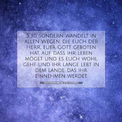 Picture 07 - Deuteronomium 5:33 LUTH1912 - 5:30 sondern wandelt in allen Wegen, die euch der - Bible Verse Picture