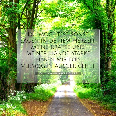 Picture 07 - Deuteronomium 8:17 LUTH1912 - Du möchtest sonst sagen in deinem Herzen: Meine - Bible Verse Picture