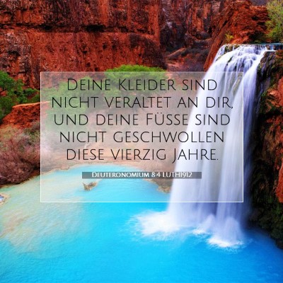 Picture 07 - Deuteronomium 8:4 LUTH1912 - Deine Kleider sind nicht veraltet an dir, und - Bible Verse Picture