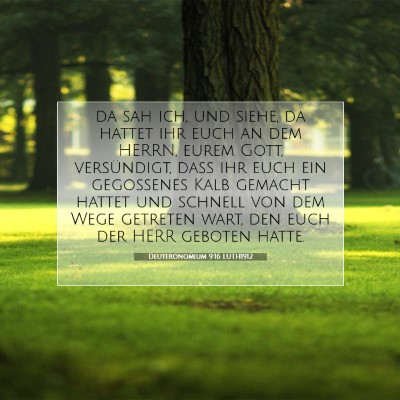 Picture 07 - Deuteronomium 9:16 LUTH1912 - da sah ich, und siehe, da hattet ihr euch an dem - Bible Verse Picture