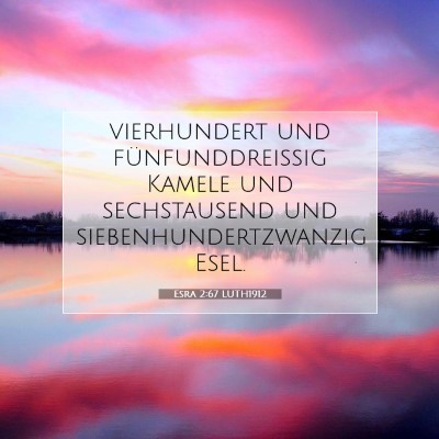 Picture 07 - Esra 2:67 LUTH1912 - vierhundert und fünfunddreißig Kamele und - Bible Verse Picture