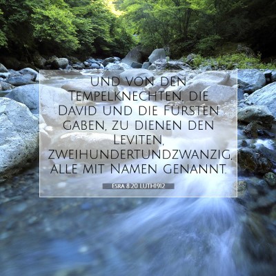Picture 07 - Esra 8:20 LUTH1912 - und von den Tempelknechten, die David und die - Bible Verse Picture