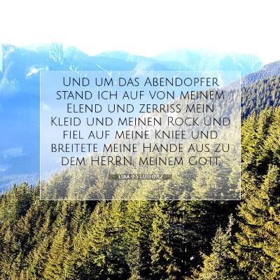 Picture 07 - Esra 9:5 LUTH1912 - Und um das Abendopfer stand ich auf von meinem - Bible Verse Picture