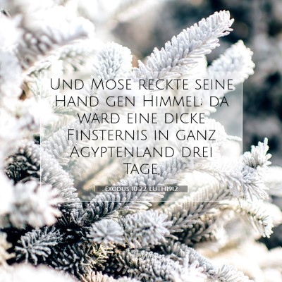 Picture 07 - Exodus 10:22 LUTH1912 - Und Mose reckte seine Hand gen Himmel; da ward - Bible Verse Picture