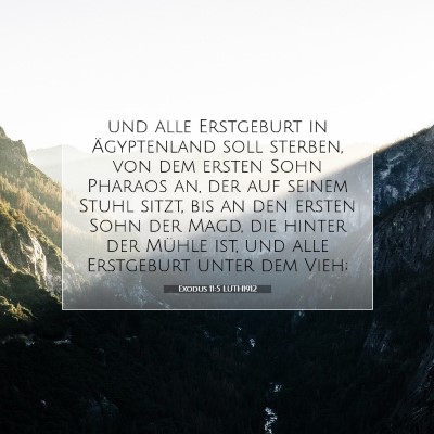 Picture 07 - Exodus 11:5 LUTH1912 - und alle Erstgeburt in Ägyptenland soll sterben, - Bible Verse Picture