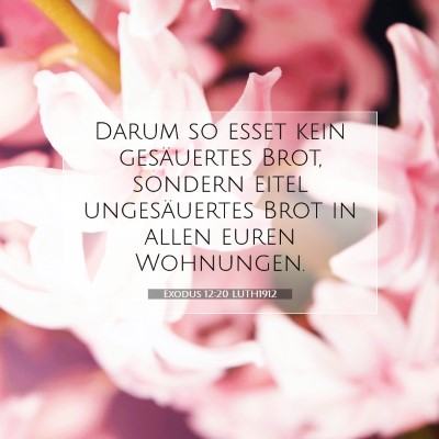 Picture 07 - Exodus 12:20 LUTH1912 - Darum so esset kein gesäuertes Brot, sondern - Bible Verse Picture