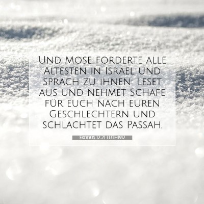 Picture 07 - Exodus 12:21 LUTH1912 - Und Mose forderte alle Ältesten in Israel und - Bible Verse Picture