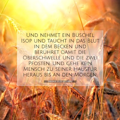Picture 07 - Exodus 12:22 LUTH1912 - Und nehmet ein Büschel Isop und taucht in das - Bible Verse Picture