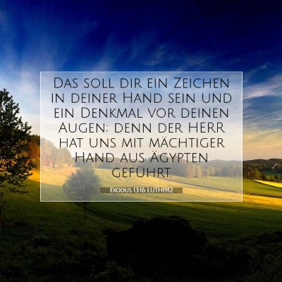 Picture 07 - Exodus 13:16 LUTH1912 - Das soll dir ein Zeichen in deiner Hand sein und - Bible Verse Picture