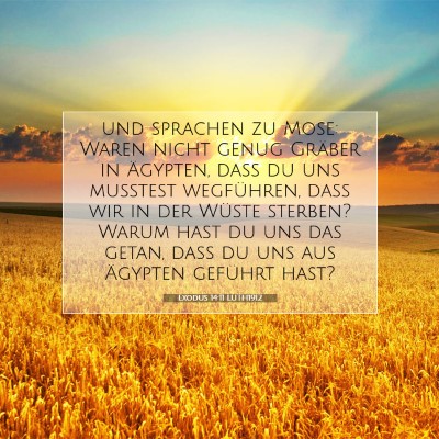 Picture 07 - Exodus 14:11 LUTH1912 - und sprachen zu Mose: Waren nicht genug Gräber - Bible Verse Picture