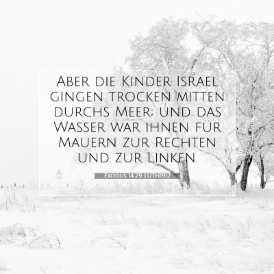Picture 07 - Exodus 14:29 LUTH1912 - Aber die Kinder Israel gingen trocken mitten - Bible Verse Picture