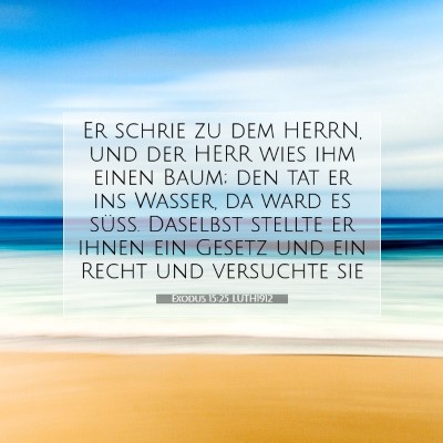 Picture 07 - Exodus 15:25 LUTH1912 - Er schrie zu dem HERRN, und der HERR wies ihm - Bible Verse Picture