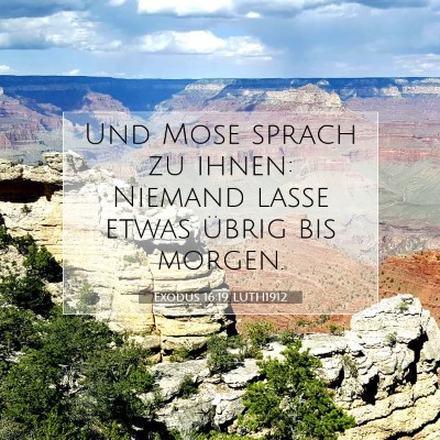 Picture 07 - Exodus 16:19 LUTH1912 - Und Mose sprach zu ihnen: Niemand lasse etwas - Bible Verse Picture