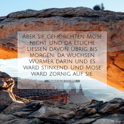 Picture 07 - Exodus 16:20 LUTH1912 - Aber sie gehorchten Mose nicht. Und da etliche - Bible Verse Picture