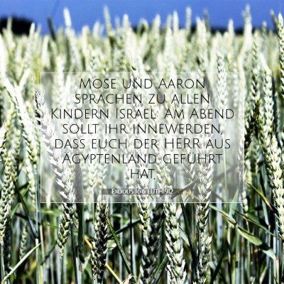 Picture 07 - Exodus 16:6 LUTH1912 - Mose und Aaron sprachen zu allen Kindern Israel: - Bible Verse Picture