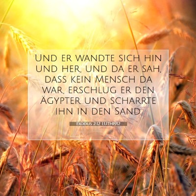 Picture 07 - Exodus 2:12 LUTH1912 - Und er wandte sich hin und her, und da er sah, - Bible Verse Picture