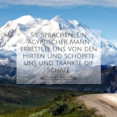 Picture 07 - Exodus 2:19 LUTH1912 - Sie sprachen: Ein ägyptischer Mann errettete uns - Bible Verse Picture