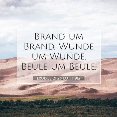 Picture 07 - Exodus 21:25 LUTH1912 - Brand um Brand, Wunde um Wunde, Beule um - Bible Verse Picture