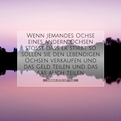 Picture 07 - Exodus 21:35 LUTH1912 - Wenn jemandes Ochse eines andern Ochsen stößt, - Bible Verse Picture