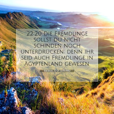 Picture 07 - Exodus 22:21 LUTH1912 - 22:20 Die Fremdlinge sollst du nicht schinden - Bible Verse Picture