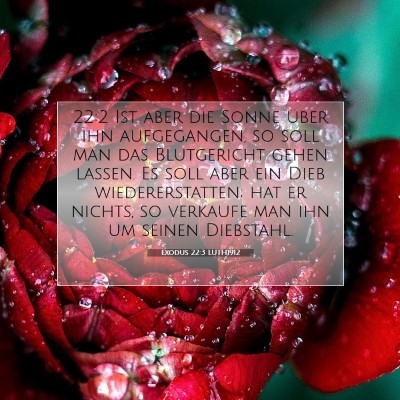 Picture 07 - Exodus 22:3 LUTH1912 - 22:2 Ist aber die Sonne über ihn aufgegangen, so - Bible Verse Picture