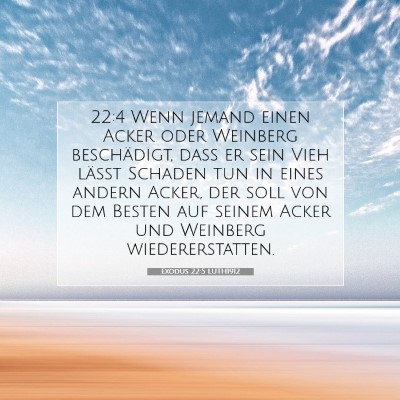 Picture 07 - Exodus 22:5 LUTH1912 - 22:4 Wenn jemand einen Acker oder Weinberg - Bible Verse Picture