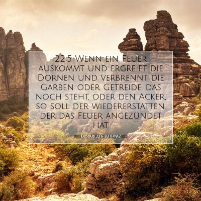 Picture 07 - Exodus 22:6 LUTH1912 - 22:5 Wenn ein Feuer auskommt und ergreift die - Bible Verse Picture
