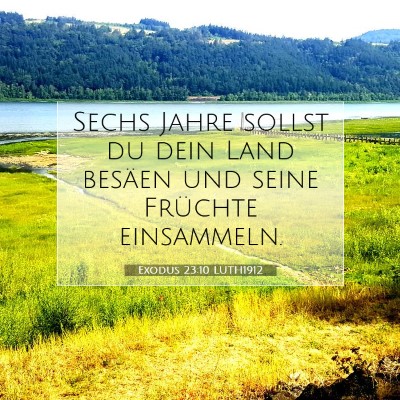 Picture 07 - Exodus 23:10 LUTH1912 - Sechs Jahre sollst du dein Land besäen und seine - Bible Verse Picture