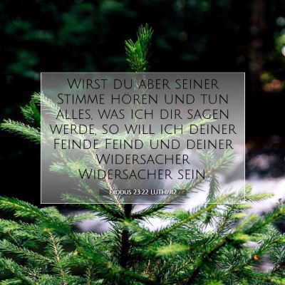 Picture 07 - Exodus 23:22 LUTH1912 - Wirst du aber seiner Stimme hören und tun alles, - Bible Verse Picture