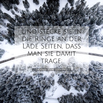 Picture 07 - Exodus 25:14 LUTH1912 - und stecke sie in die Ringe an der Lade Seiten, - Bible Verse Picture