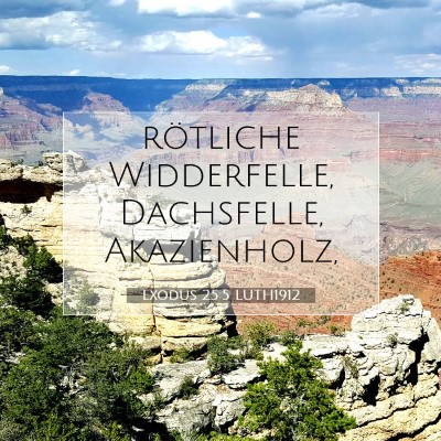 Picture 07 - Exodus 25:5 LUTH1912 - rötliche Widderfelle, Dachsfelle, - Bible Verse Picture