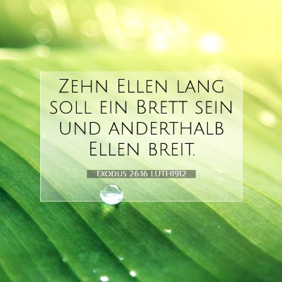 Picture 07 - Exodus 26:16 LUTH1912 - Zehn Ellen lang soll ein Brett sein und - Bible Verse Picture