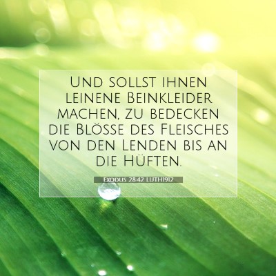 Picture 07 - Exodus 28:42 LUTH1912 - Und sollst ihnen leinene Beinkleider machen, zu - Bible Verse Picture