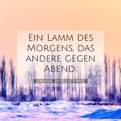 Picture 07 - Exodus 29:39 LUTH1912 - Ein Lamm des Morgens, das andere gegen - Bible Verse Picture