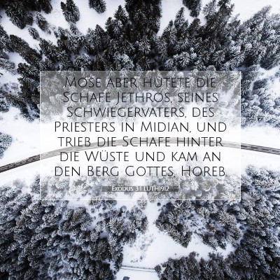 Picture 07 - Exodus 3:1 LUTH1912 - Mose aber hütete die Schafe Jethros, seines - Bible Verse Picture
