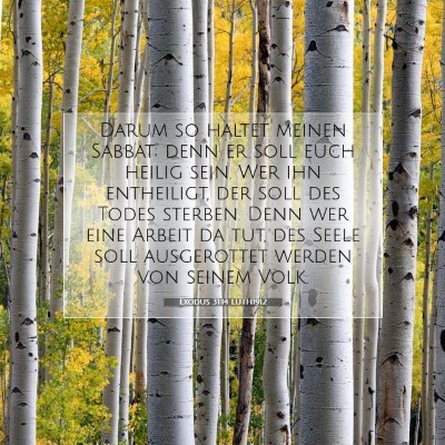 Picture 07 - Exodus 31:14 LUTH1912 - Darum so haltet meinen Sabbat; denn er soll euch - Bible Verse Picture