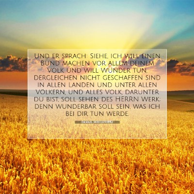 Picture 07 - Exodus 34:10 LUTH1912 - Und er sprach: Siehe, ich will einen Bund machen - Bible Verse Picture
