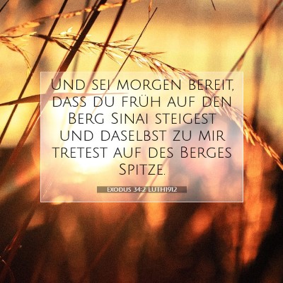 Picture 07 - Exodus 34:2 LUTH1912 - Und sei morgen bereit, daß du früh auf den Berg - Bible Verse Picture