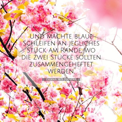 Picture 07 - Exodus 36:11 LUTH1912 - Und machte blaue Schleifen an jegliches Stück am - Bible Verse Picture