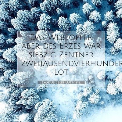 Picture 07 - Exodus 38:29 LUTH1912 - Das Webeopfer aber des Erzes war siebzig Zentner - Bible Verse Picture