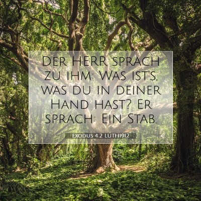 Picture 07 - Exodus 4:2 LUTH1912 - Der HERR sprach zu ihm: Was ist's, was du in - Bible Verse Picture