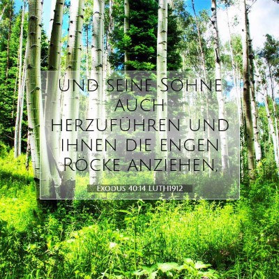 Picture 07 - Exodus 40:14 LUTH1912 - und seine Söhne auch herzuführen und ihnen die - Bible Verse Picture