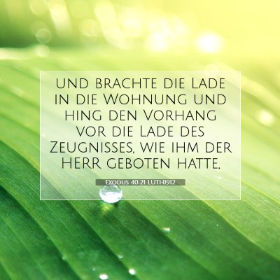 Picture 07 - Exodus 40:21 LUTH1912 - und brachte die Lade in die Wohnung und hing den - Bible Verse Picture