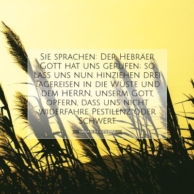 Picture 07 - Exodus 5:3 LUTH1912 - Sie sprachen: Der Hebräer Gott hat uns gerufen; - Bible Verse Picture