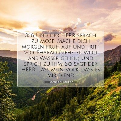 Picture 07 - Exodus 8:20 LUTH1912 - 8:16 Und der HERR sprach zu Mose: Mache dich - Bible Verse Picture